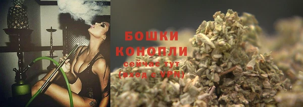 соль ск Богородицк