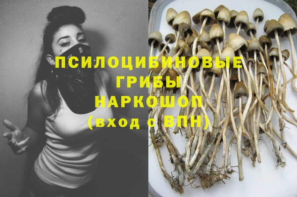 соль ск Богородицк