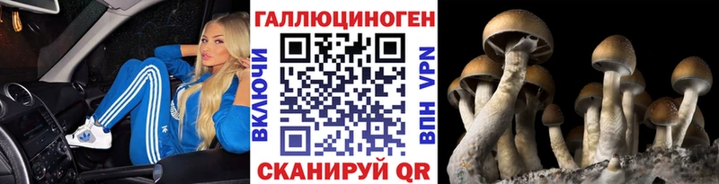 купить  цена  Котельниково  Галлюциногенные грибы Psilocybine cubensis 