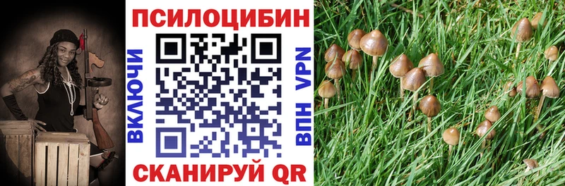 Галлюциногенные грибы Psilocybine cubensis Котельниково